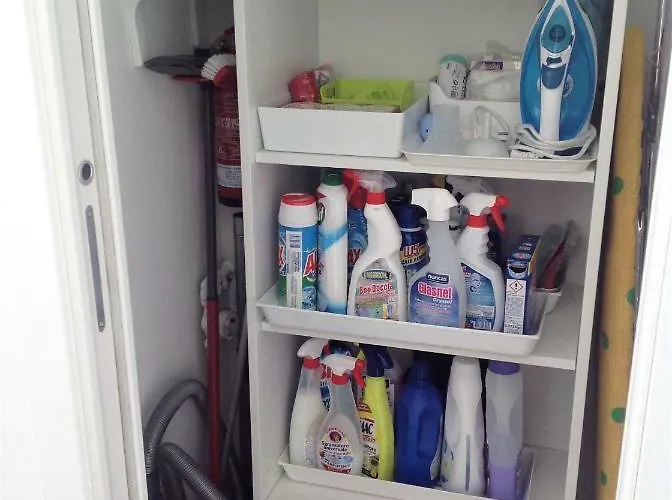 公寓 La Florentina 芒通